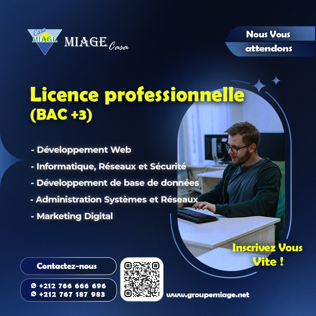 Licence-pro-IT